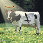 A Bad Satan Cow