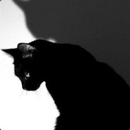 黑猫