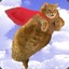 Flying Cat