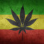 Marijuana .
