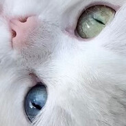 ✪Levz - steam id 76561198133989075