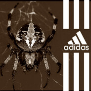 Spider-adidas1917