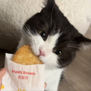 玩家头像