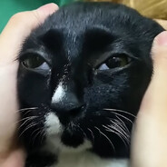 aut