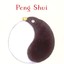 Peng Shui