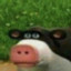 ricepicker