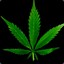 Cannabis- MOVE ID 1237982553