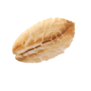 oat Steam avatar