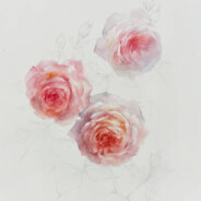 海绵体大战括约肌