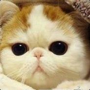 活着干，死了算