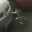 mechanic