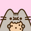 PUSHEEN