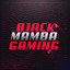 B1ack Mamba Gaming