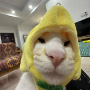 古希腊掌管熬夜不睡觉