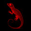 Lined Gecko