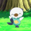 oshaWOTT