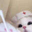 doll酱