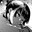 nodawz