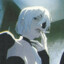 alazur's avatar