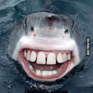 mr.Megalodon's avatar