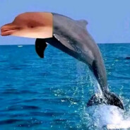 ⊱Ɑ͞ ̶͞✊🏻 ̶͞ﻝﮞ