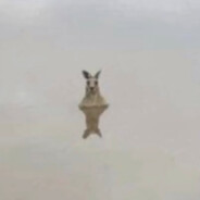 silk - steam id 76561198820008873