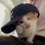 sail's avatar