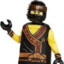 The Official Cole From Ninjago