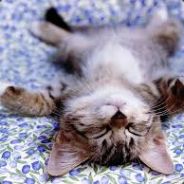 aSDFasdfasdfasdfasdfasdfasdf