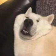 ( *¯ ³¯*)✨️✨