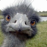 RogueOstrich