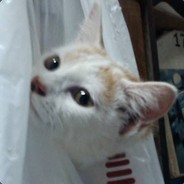 Spincat