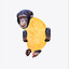 PotatoChimp