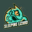 Sleeping_Lizard