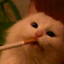 strings