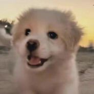 就踏马你叫霞洛啊