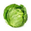 Cabbage