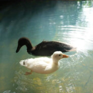 憋不住屎被护工暴打