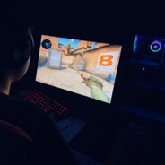 VeesRoge™ - steam id 76561199142666593