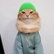 Беспрекословный