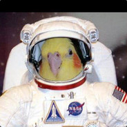 Space Chicken