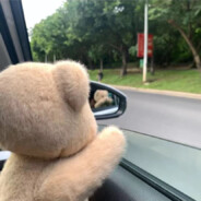 小易爱吃冰糖葫芦