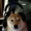 &gt;tooski