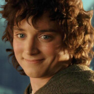 Herr Frodo