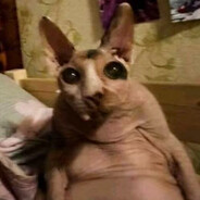 полина руина - steam id 76561199434305312