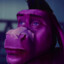 Jojotario