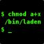 chmod a+x /bin/laden