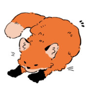 狐狸