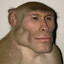 Hpai