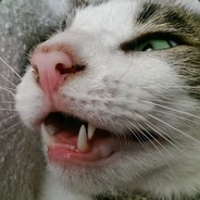 PHERRGE - steam id 76561197963248581